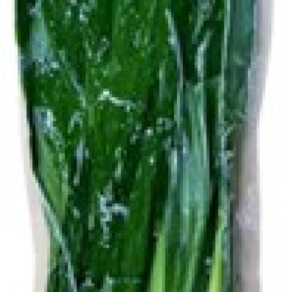 FROZEN PANDANUS LEAF 7oz (200g)