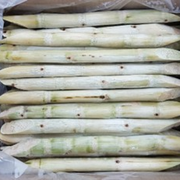 FROZEN SUGARCANE PEELED 30 lbs (13.62kg)